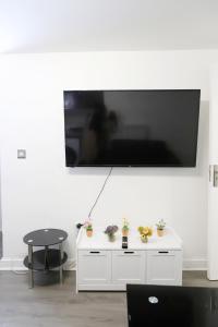 a tv on a white wall with plants on a table at The Apartment in Oldham