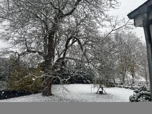 a snow covered tree with a bench next to a fence at Hotel Belvedere in Seevetal