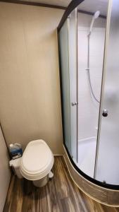 a bathroom with a toilet and a shower at Rattrays Rd Farm Accomodation in Makikihi