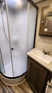 a bathroom with a shower and a sink at Rattrays Rd Farm Accomodation in Makikihi