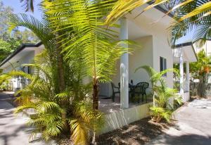 a palm tree in front of a house at Breakaway • Central Studio for 4 • Beach • Pool in Agnes Water