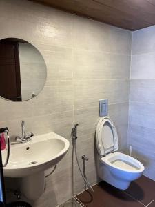 ein Badezimmer mit Waschbecken, Toilette und Spiegel in der Unterkunft Aroma Chalet in Ḩūmīn al Fawqā