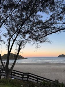 a tree and fence on the beach at sunset at Refúgio Vila Mar Apto in Imbituba