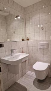 a bathroom with a sink and a toilet at Schöner Blick in Am Schwarzen Busch +16 photos