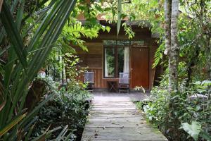 a wooden walkway leading to a cabin in the jungle at Rimba Orangutan Ecolodge in Kampungcina