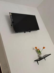 a flat screen tv hanging on a wall with a plant at Hotel y Hostal AH MUN in Mérida