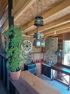 a kitchen with a large potted plant in a room at Cabaña Bellavista in Manzanar