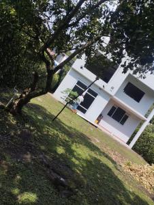 a white house with a tree in the yard at Finca Villeta in Villeta