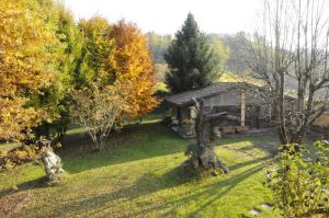 a house in the middle of a yard with trees at Cascina tra le vecchie vigne con piscina in Canale
