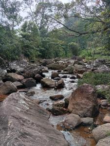 a stream of water with rocks and trees at Sinharaja-Forest Cave Camp in Ullinduwawa