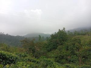 a view of a hill with trees and clouds in the background at Sinharaja-Forest Cave Camp in Ullinduwawa