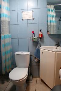 ein Bad mit einem WC und einem Waschbecken in der Unterkunft Zemaite truoba in Milašaičiai