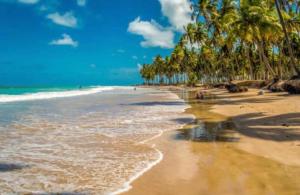 a beach with palm trees and the ocean at Casa Refúgio Tamandaré in Tamandaré