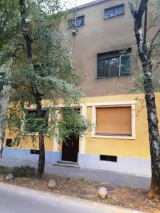a yellow and white house with a door and two trees at Downtown dell Arte in Novi Sad