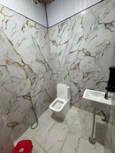 a bathroom with a toilet and a sink at Hotel Riverviewinn in Varanasi