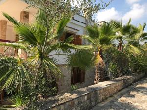 a house with palm trees in front of it at Dimore Tarantini in Polignano a Mare
