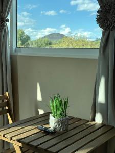 ein Holztisch mit einer Topfpflanze auf einem Fenster in der Unterkunft Teoti Querido in San Juan Teotihuacán