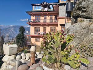 a house on a mountain with a cactus in front of it at The Heritage, Sarahan in Sarāhan