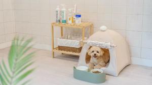 a dog sitting in a dog house in a bathroom at Gapyeong Santa Maria Dog-friendly Privat in Gapyeong +1 photo