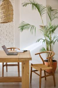 a wooden table with a laptop and a plant at Kokon Boutique Guesthouse in Somerset West