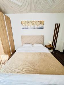 a bedroom with a large bed in a room at Yu-home in Mukacheve +4 photos