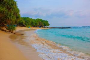 a sandy beach with palm trees and the ocean at Anula Villa in Ahangama
