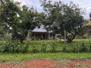 a garden with a fence and some plants at Avo 2 on 27 Drew in Howick
