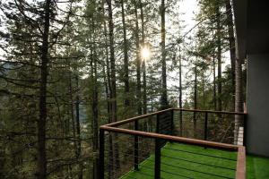 a balcony with a view of the forest at Zesora Nathia Gali in Nathia Gali