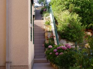 Zahrada ubytování Apartments Kronja