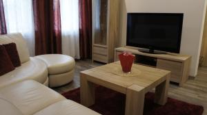 TV a/nebo společenská místnost v ubytování Homestay Olivera