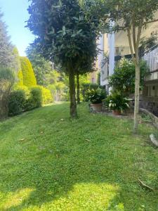 a green yard with trees and a building at da Melina in Parma