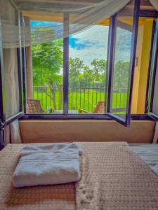 a bed in a room with a large window at Babai Outback Adventures PVT LTD in Bardiyā