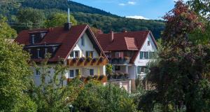 una fila de casas con flores en sus ventanas en Haus am Blauenbach, en Schliengen