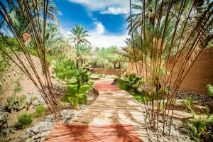 un chemin à travers un jardin planté de palmiers dans l'établissement Riad Lamane, à Zagora