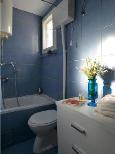 a blue bathroom with a toilet and a bath tub at Downtown dell Arte in Novi Sad