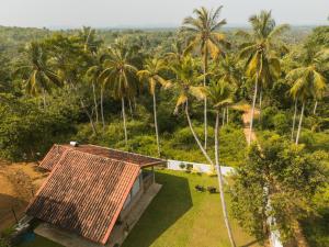 an aerial view of a house and palm trees at Cozy Nook Cottage in Tangalle