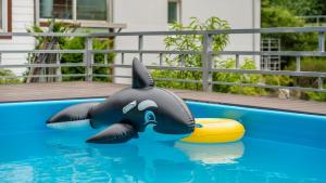 a dolphin toy in a pool with a ball at Gapyeong Areuno Pet Pension in Gapyeong