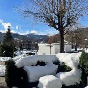 a pile of snow on a yard with a tree at Schliersee-Lounge in Schliersee