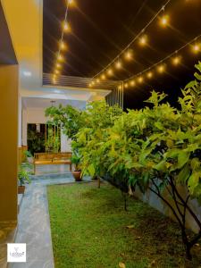 a lobby with a row of plants and lights at Lakshani Villa in Polonnaruwa