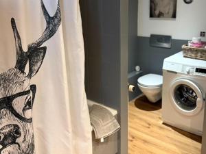 a bathroom with a shower curtain with a toilet at Schliersee-Lounge in Schliersee
