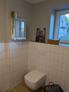 a bathroom with a toilet and a window at Fuchsbau nähe Sorpesee, ebenerdig mit Kamin und Garten in Sundern +20 photos