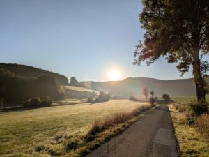 a road in the middle of a field with a tree at Fuchsbau nähe Sorpesee, ebenerdig mit Kamin und Garten in Sundern