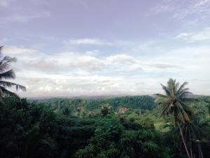 a view of a lush green forest with palm trees at skymirror unawatuna in Unawatuna +9 photos