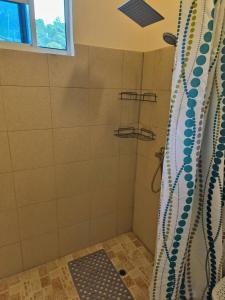 a shower with a blue and white shower curtain at Sea View Guest House Apt in Kingstown +27 photos