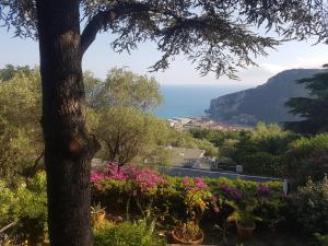 a view of the ocean from a garden with flowers at La Camera Tra Gli Ulivi Dream Finale in Finale Ligure