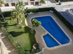 an overhead view of a swimming pool with palm trees at Maryvent Solo Familias Serviplaya in Playa de Xeraco