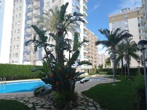 a palm tree next to a swimming pool in a building at Palmeras III Solo Familias Serviplaya!!! in Gandía