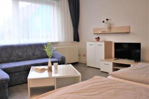a living room with a couch and a tv at Am Langenwerder Whg 4 in Gollwitz