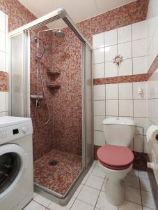 a bathroom with a shower with a toilet and a washing machine at Ostseeliebe in Kirchdorf +4 photos