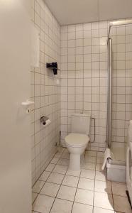 a white bathroom with a toilet and a shower at Apartment Pawelzig in Kirchdorf